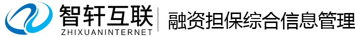 融资担保综合系统